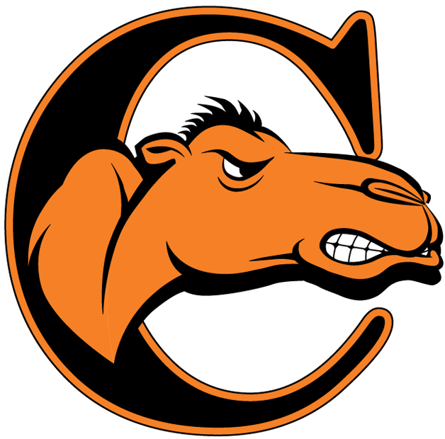 Campbell Fighting Camels 2008-Pres Alternate Logo v2 diy DTF decal sticker